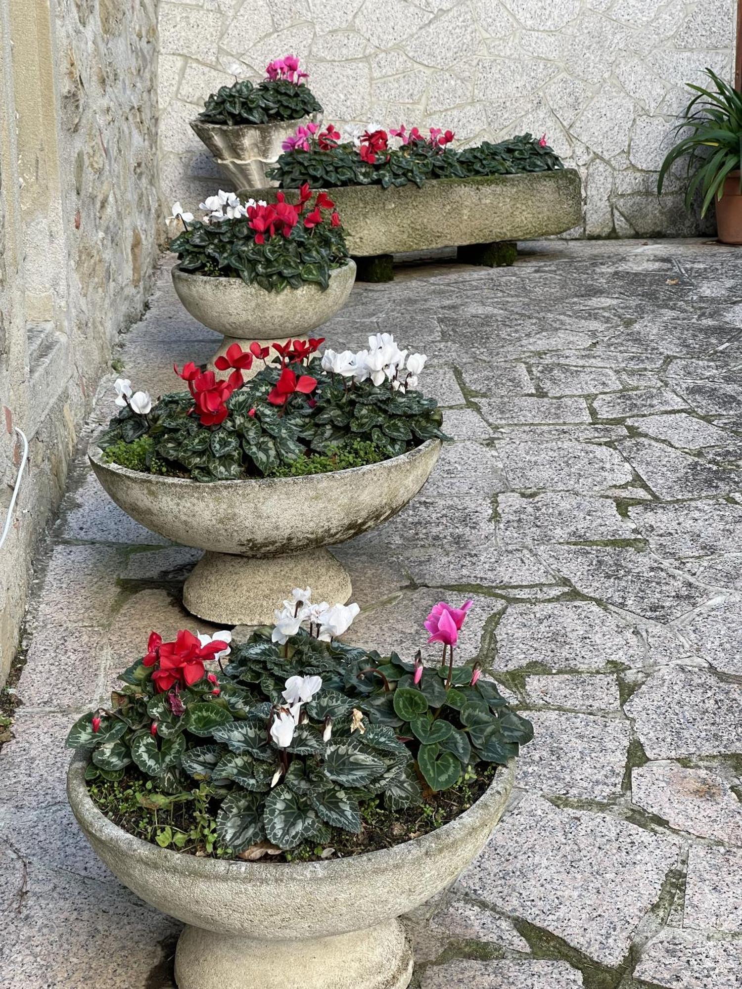 Mazzetti Country House-vita In Campagna Con Giardino Villa