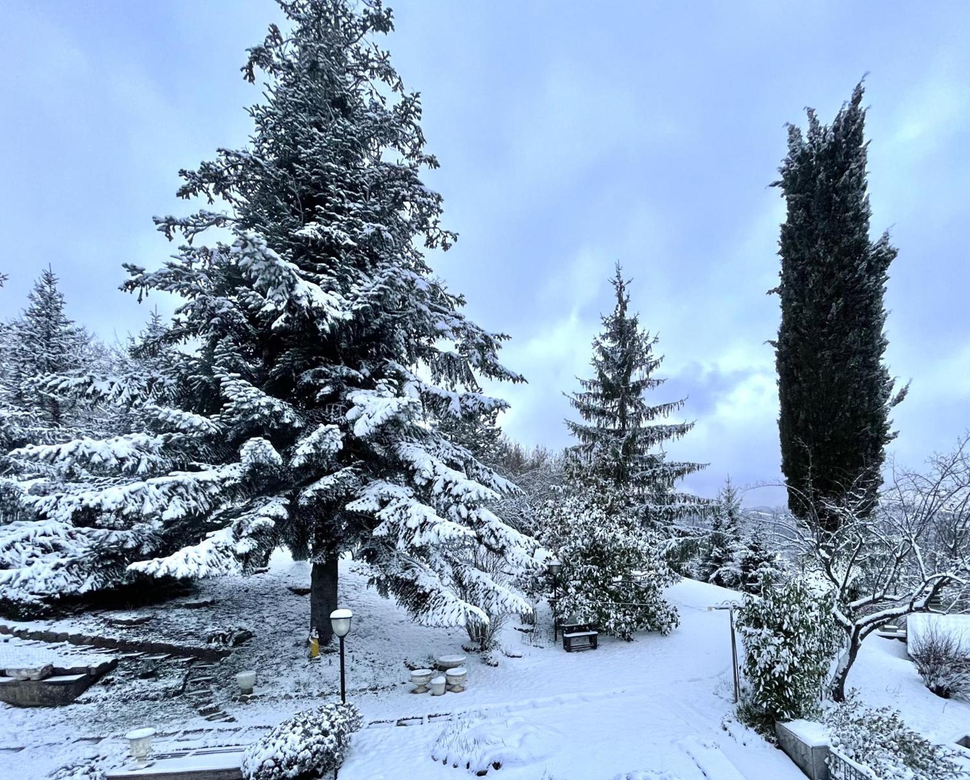 Mazzetti Country House-vita In Campagna Con Giardino Vimignano-Chiesa
