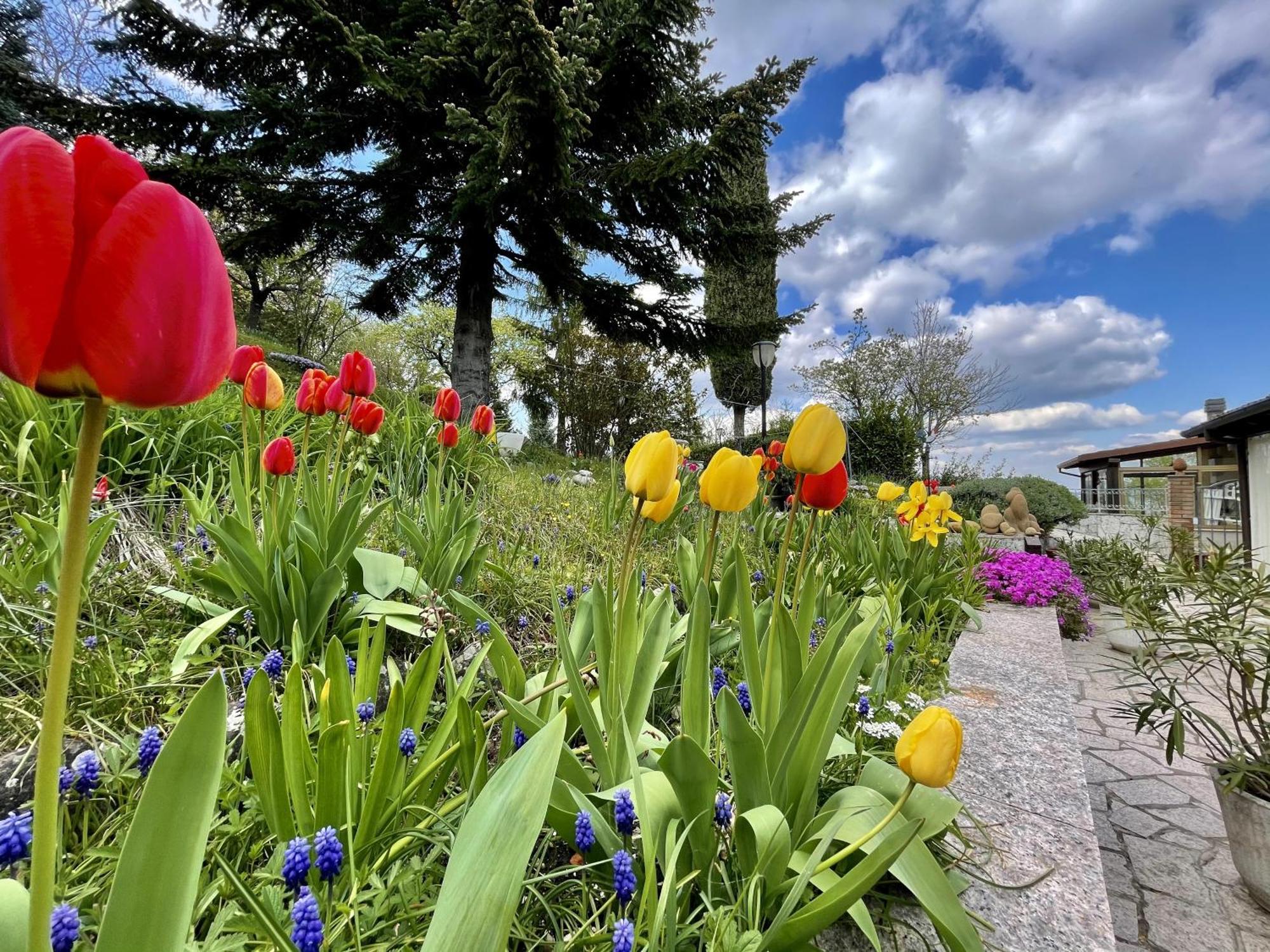 Mazzetti Country House-vita In Campagna Con Giardino Villa Vimignano-Chiesa