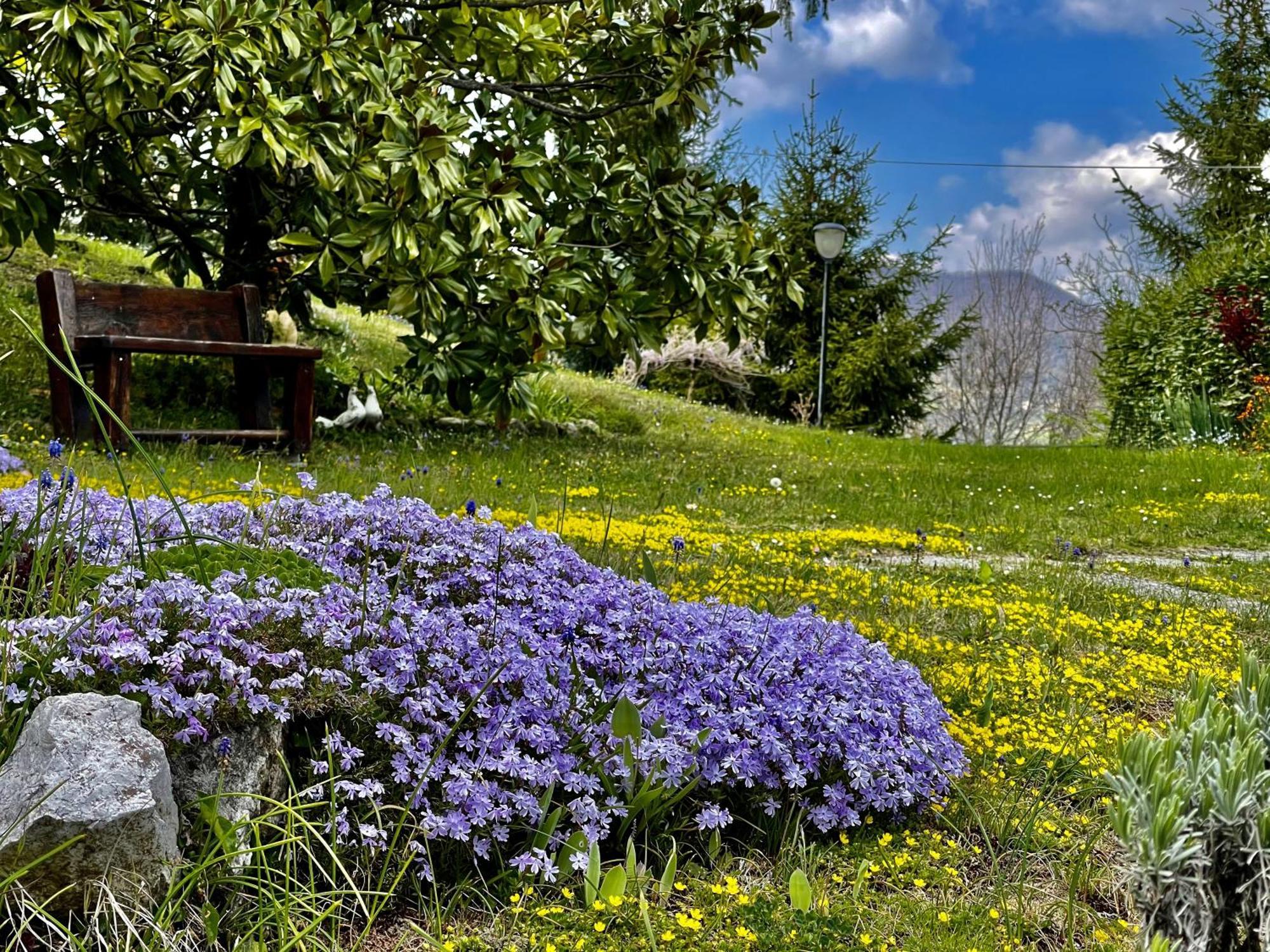 Mazzetti Country House-vita In Campagna Con Giardino * Vimignano-Chiesa