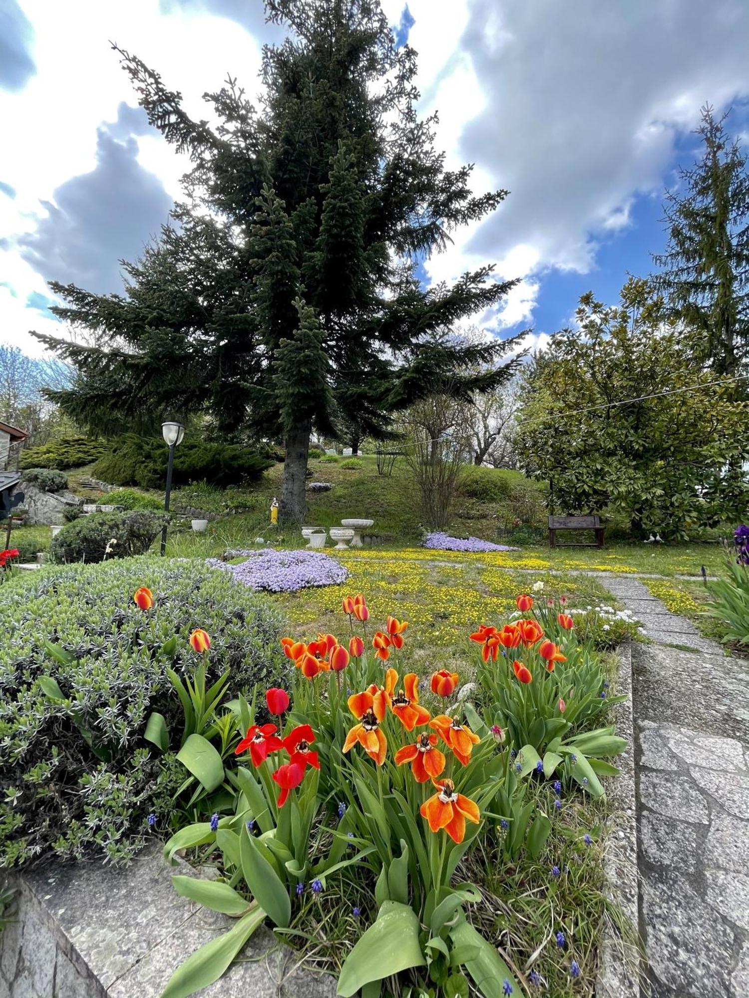 Mazzetti Country House-vita In Campagna Con Giardino * Vimignano-Chiesa